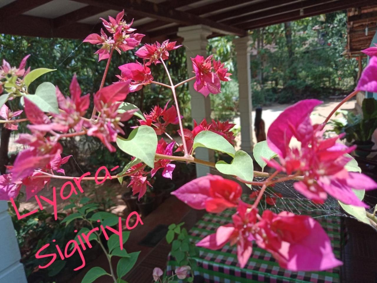 Liyara Home Stay シギリヤ エクステリア 写真