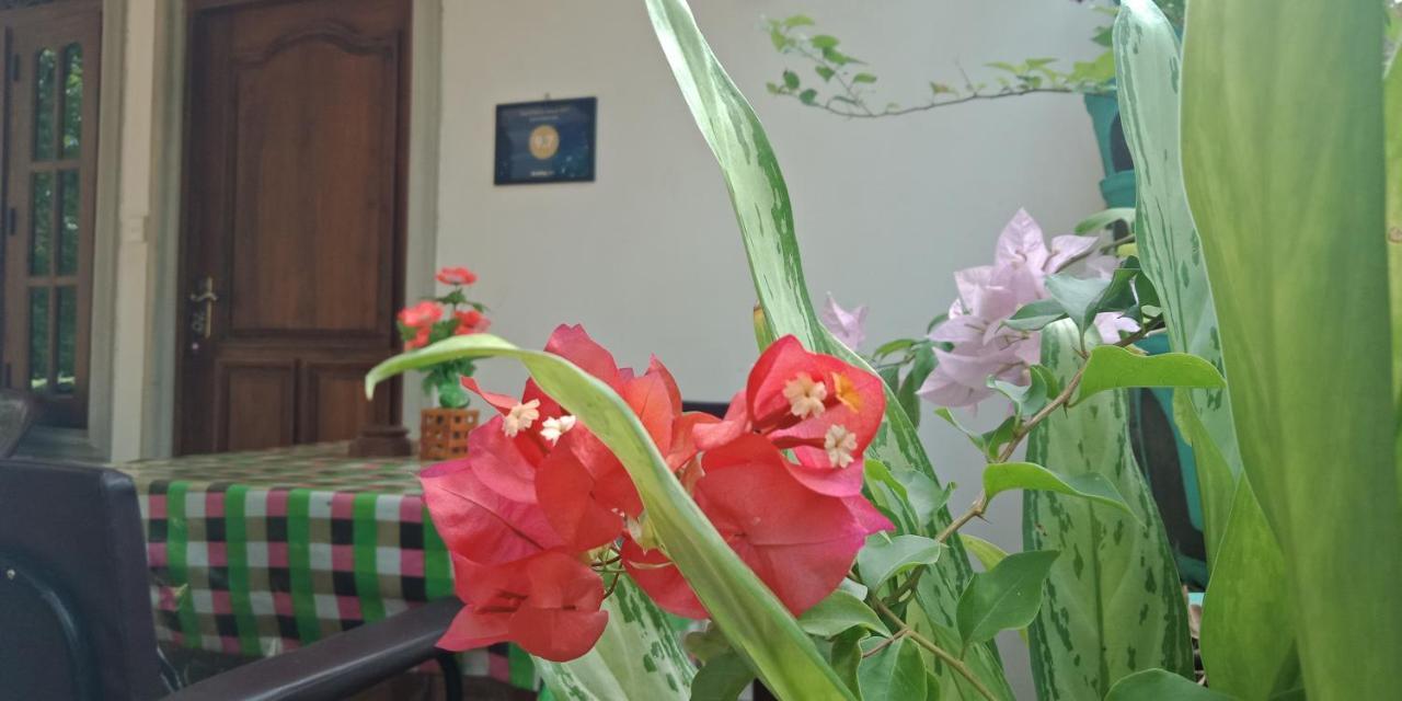 Liyara Home Stay シギリヤ エクステリア 写真